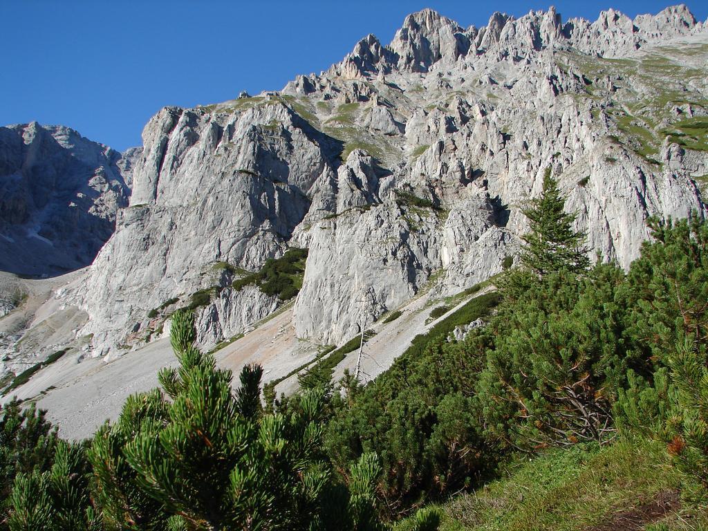 Ferienwohnung Haus Latschenheim Ramsau am Dachstein Exterior foto